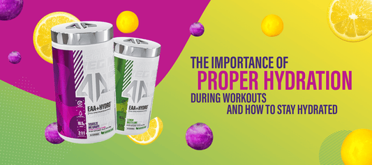 The Importance of Proper Hydration During Workouts and How to Stay Hydrated - Prime Bites